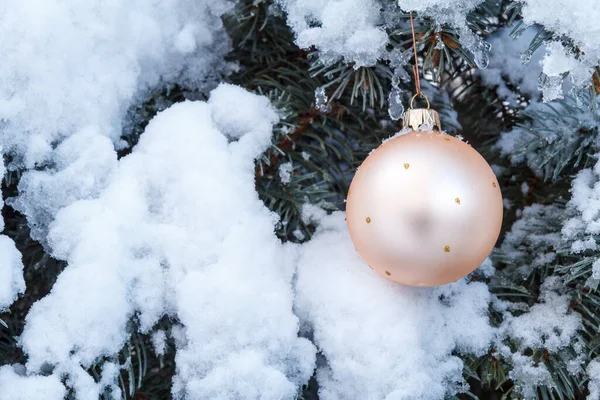 Pink Christmas Ball Hanging Spruce Tree Branch Covered Snow Green — Stock Photo, Image