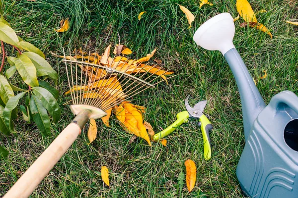 Jardineiro Está Limpando Gramado Com Ancinho Outono Regando Lata Uma — Fotografia de Stock