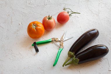 Sadece domates, patlıcan ve arka planda bahçe budayıcısı topladım. Sadece sebze topladım. Üst görünüm.