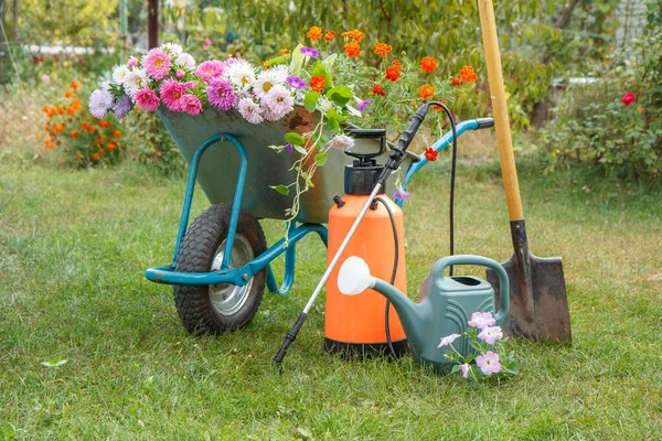 Manhã Depois Trabalho Jardim Verão Carrinho Mão Com Flores Redução — Fotografia de Stock