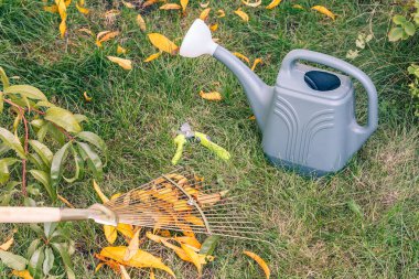 Sonbaharda çimleri tırmıkla temizliyorum. Sulama kutusu, arka planda budama ve yeşil çimen..