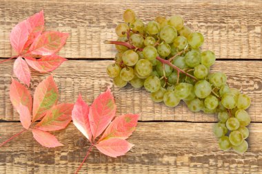 Ağaçların üzerinde üzüm ve kırmızı yapraklarla sonbahar sakin bir hayat. Üst görünüm.