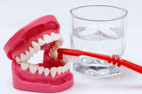 人間の顎のレイアウトと背景に水のガラスと歯ブラシのクローズアップビュー — ストック写真
