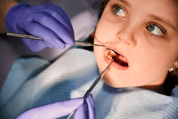 Close up of adorable little girl with open mouth. Dentist in sterile gloves examining child teeth with dental explorer and mirror. Concept of pediatric dentistry and dental care.