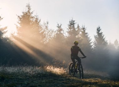 Bisiklet süren bisikletçi, sabah güneşiyle aydınlatılan ormanın yakınında bisiklet sürüyor. Bisikletçi sabah çimenli tepede bisiklet sürüyor. Spor, bisiklet ve aktif eğlence anlayışı..