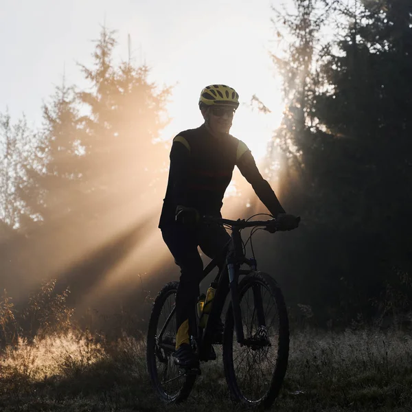 Egy Biciklis Öltönyös Fiatalember Sziluettje Biciklizik Erdőben Reggeli Napfényben Megvilágítva — Stock Fotó