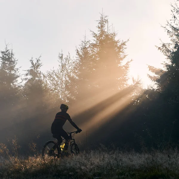 穿着自行车在森林里骑自行车的人的轮廓被晨曦照亮了 早上骑自行车的男性骑自行车在长满青草的山上 骑自行车和积极休闲的概念 — 图库照片
