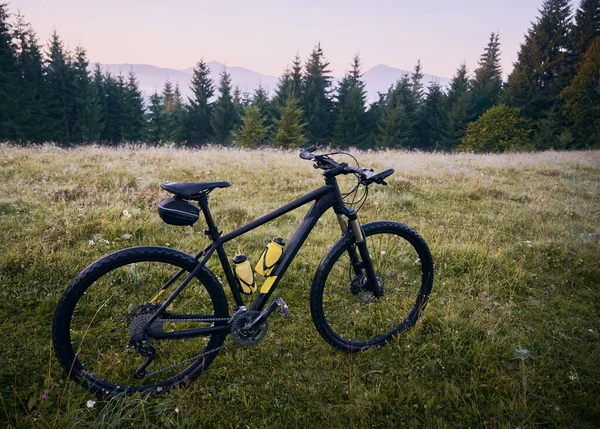 青草山与多速旅游自行车与黄色水瓶笼 山地自行车或骑自行车在草地上 背景是针叶树和小山 山地自行车的概念 — 图库照片
