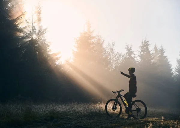 年轻男子骑自行车坐在后视镜上 指指点着树后美丽的晨光 晨林中骑山地自行车的男性骑自行车者 — 图库照片