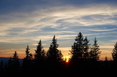 Batan güneş, ufkun altına daldıkça altın parıltısını saçıyor. İnce bulutlarla dolu uzun çam ağaçlarını gölgede bırakıyor. Turuncu ve mavi renkler birbirine karışır ve güzel bir akşam sahnesi yaratır..