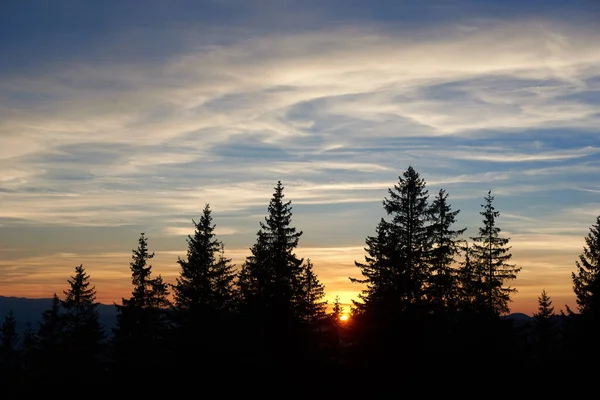 Batan güneş, ufkun altına daldıkça altın parıltısını saçıyor. İnce bulutlarla dolu uzun çam ağaçlarını gölgede bırakıyor. Turuncu ve mavi renkler birbirine karışır ve güzel bir akşam sahnesi yaratır..