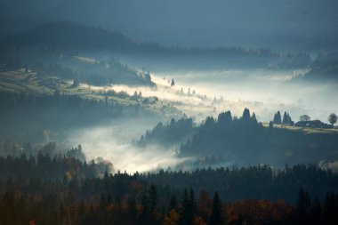 Vadilerden yükselen sislerin büyüleyici görüntüsü, sisi delip geçen güneş ışınları, yuvarlanan tepeleri ve dağınık ağaçları aydınlatıyor. Manzara yumuşak, ruhani ışıkla yıkandı, rüya gibi bir atmosfer yarattı..