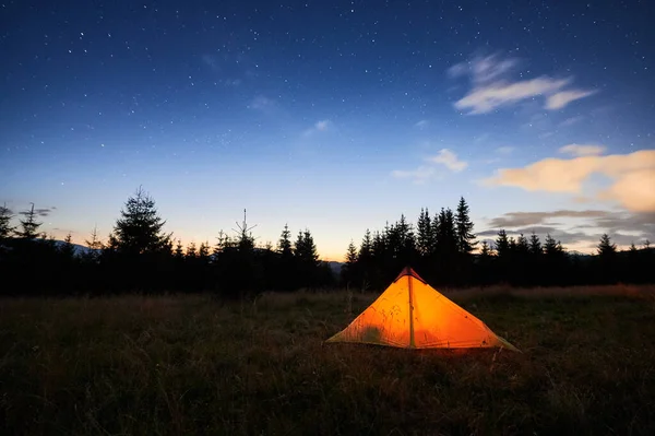 Yıldızlı gökyüzünün altında çimenli çayırlarda parlayan turuncu çadır, ufukta gün ışığı var. Çam ağaçlarıyla çevrili sakin manzara, sabahın erken saatlerinin dingin güzelliğini yakalar..