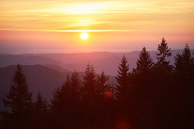 Güneş altın ve turuncu renklerde parlıyor, gökyüzünü aydınlatıyor ve manzaranın üzerine sıcak bir parıltı saçıyor. Siluet çam ağaçları, yuvarlanan tepelerin zeminine karşı dimdik durur ve büyüleyici bir manzara yaratır..
