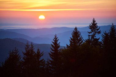 Gün batımında güneş, sıcak sarı, turuncu ve pembe renkleri gökyüzüne yansıtıyor. Uzak dağların katmanları arkaplan oluştururken, önplandaki yüksek çam ağaçları nefes kesici manzaraya derinlik katar.