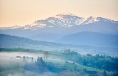 Kırsal kesimde puslu bir sabah. Bereketli yeşil tepeler evlerle, ağaçlarla, sis tabakalarıyla benekli. Arka planda, yumuşak pastel gökyüzünün altında karla kaplı dağlar görkemli bir şekilde yükselir. Hoverla, Ukrayna.