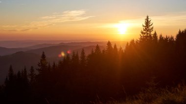 Batan güneş, ufukta altın gibi parıldıyor. Sıcak turuncu ve sarı tonlarıyla gökyüzünü aydınlatıyor. Siluet çam ağaçları, yuvarlanan tepelerin zeminine karşı dik durur ve sakin bir atmosfer yaratır..