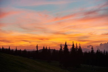 Canlı günbatımı, parlak turuncu, pembe ve mor tonlarıyla gökyüzünü doldurur ve manzaranın üzerine sıcak bir ışık saçar. Uzun çam ağaçları renkli ufka karşı siluet içinde, yuvarlanan tepeleri ile.
