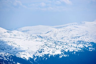 Karla kaplı dağ zirvesi açık mavi gökyüzünün altında, yamaçlarda kar parçaları ve dağınık ağaçlarla. Sakin kış manzarası aşağıdaki karanlık ve ormanlık alanlarla keskin bir tezat oluşturuyor. Chornohora, Ukrayna