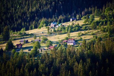 Yoğun ormanlarla çevrili verimli yeşil manzaraları olan büyüleyici ahşap evleri olan sakin bir dağ köyü. Kırsal yaşam ve doğanın barışçıl bir arada yaşaması, güneş ışığının sıcacık parıltısıyla.