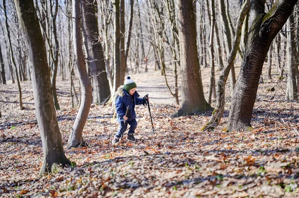 İlkbaharın başlarında ormanda yürüyüş yapan, kürk kapüşonlu, yeşil bereli sıcak bir ceket giyen bir çocuk. Uzun ağaçlarla çevrili yaprak kaplı orman zeminini keşfeden bir çocuk..