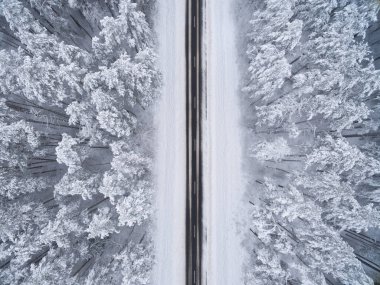 Siyah asfalt yolu olan kozalaklı kış ormanı. Doğa fotoğrafçılığı. Kuş bakışı manzara manzarası