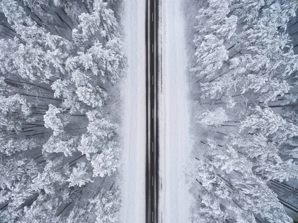 Siyah asfalt yolu olan kozalaklı kış ormanı. Doğa fotoğrafçılığı. Kuş bakışı manzara manzarası