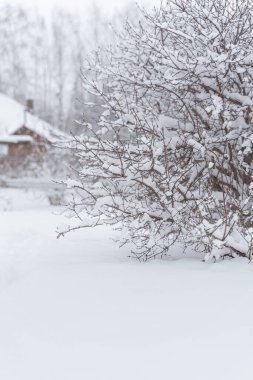 Meyve ağaçları ve çalılarla kaplı kış bahçesi manzarası. Kopya alanı ile portre yönelimi
