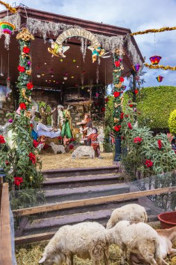 Nativity Sheep Jardin Town Square San Miguel de Allende Mexico clipart