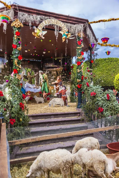 Nativity Sheep Jardín Town Square San Miguel de Allende México — Foto de Stock