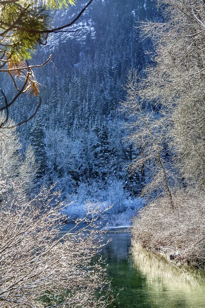 Winter lässt Schnee Eis Sonne Wenatchee Fluss Washington — Stockfoto