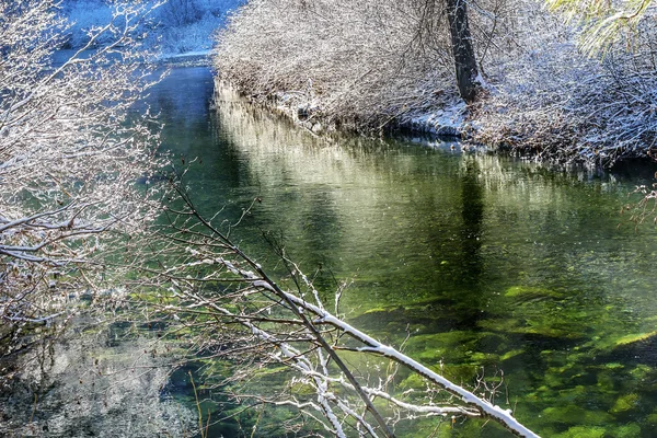 Feuilles d'hiver Neige Glace Rivière Wenatchee Washington — Photo