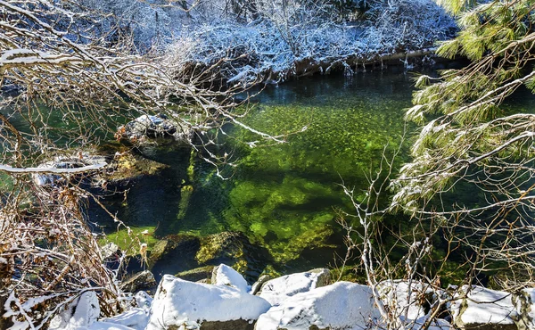 Feuilles d'hiver Neige Glace Rivière Wenatchee Washington — Photo