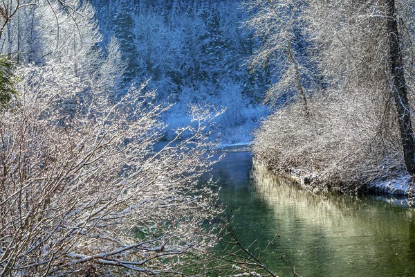 Hojas de invierno Nieve Hielo Wenatchee River Leavenworth Washinton — Foto de Stock