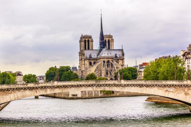 Towers Seine Nehri Köprüsü Notre Dame Katedrali Paris Fransa