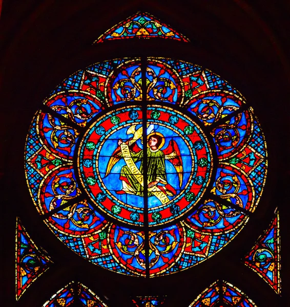 Englefarget glass Notre-Dame Katedral Paris Frankrike – stockfoto