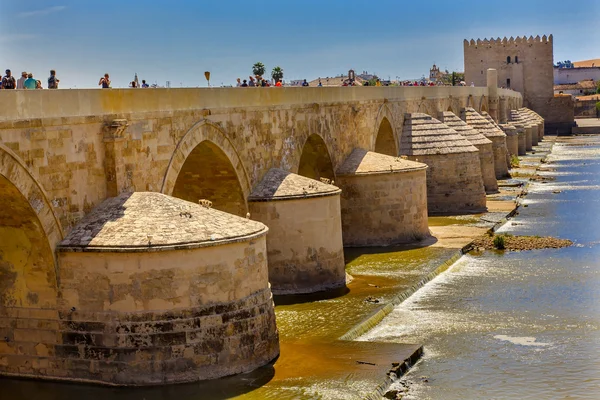 Antik Roma köprüsü girişinde nehir Guadalquivir Cordoba İspanya