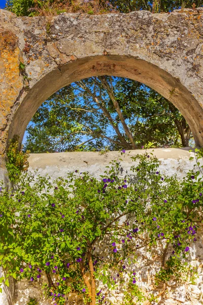 Antiguo Acueducto de Usseira Flores Azules Obidos Portugal — Foto de Stock
