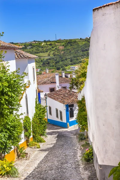 Smal vit gata medeltida staden jordbruksmark Óbidos Portugal — Stockfoto