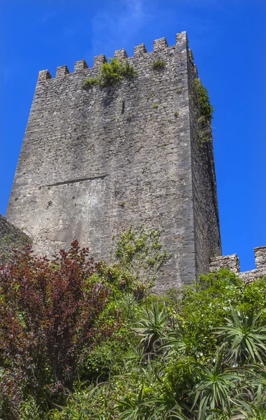 Château Tourelle Tour Murs Obidos Portugal — Photo
