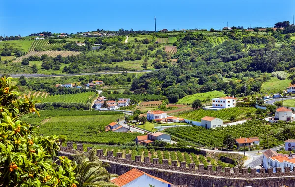 Zamek ściany pomarańczowy dachy Farmland Countryside Obidos Portugalia — Zdjęcie stockowe