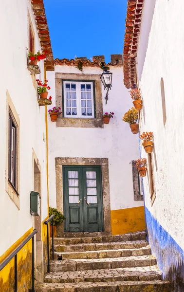 Calle Blanca Estrecha Ciudad Medieval del siglo XI Obidos Portugal — Foto de Stock