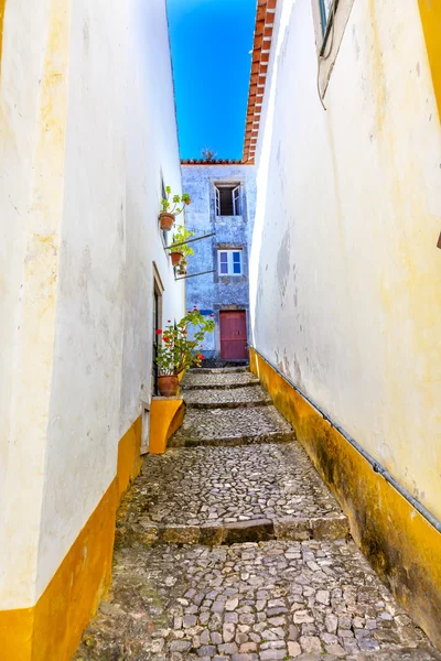 Smala vita gula gatan 11: e århundradet Mediieval City Obidos Portugal — Stockfoto