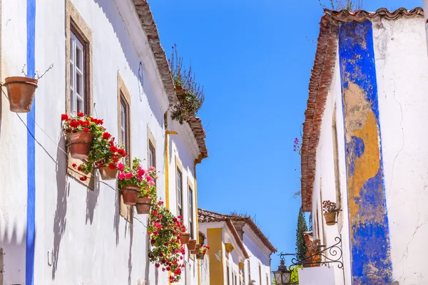 Smala vita blå Gatublommor Mediieval City Obidos Portugal — Stockfoto