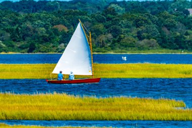 Renkli kırmızı kedi yelkenlisi Westport Masschusetts. Akbalıkçıl ve bataklık.