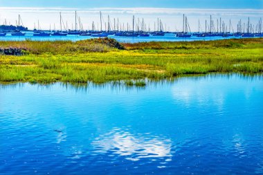 Yelkenli Tekneler Moorings Yeşil Bataklık Padanaram Liman Akbabaları Bay Dartmouth Massachusett