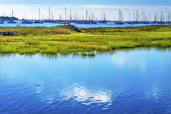 Kapal Layar Perahu Moor Hijau Marsh Padanaram Pelabuhan Buzzards Bay — Stok Foto