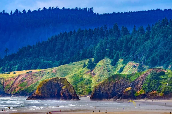 Színes Sziklák Fák Evergreens Beach Tourists Kites Canon Beach Clatsap — Stock Fotó