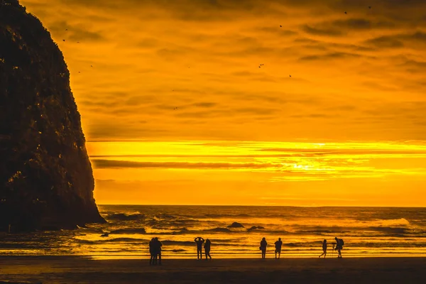 Colorido Golden Sunset Seabirds Haystack Rock Sea Stack Canon Beach — Foto de Stock