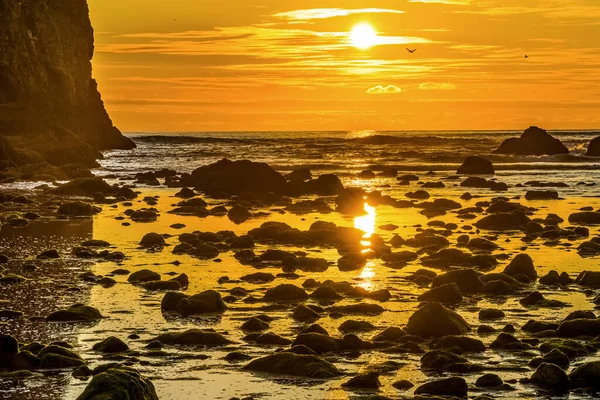 Colorato Giallo Haystack Rock Low Tide Pools Marine Garden Haystack — Foto Stock